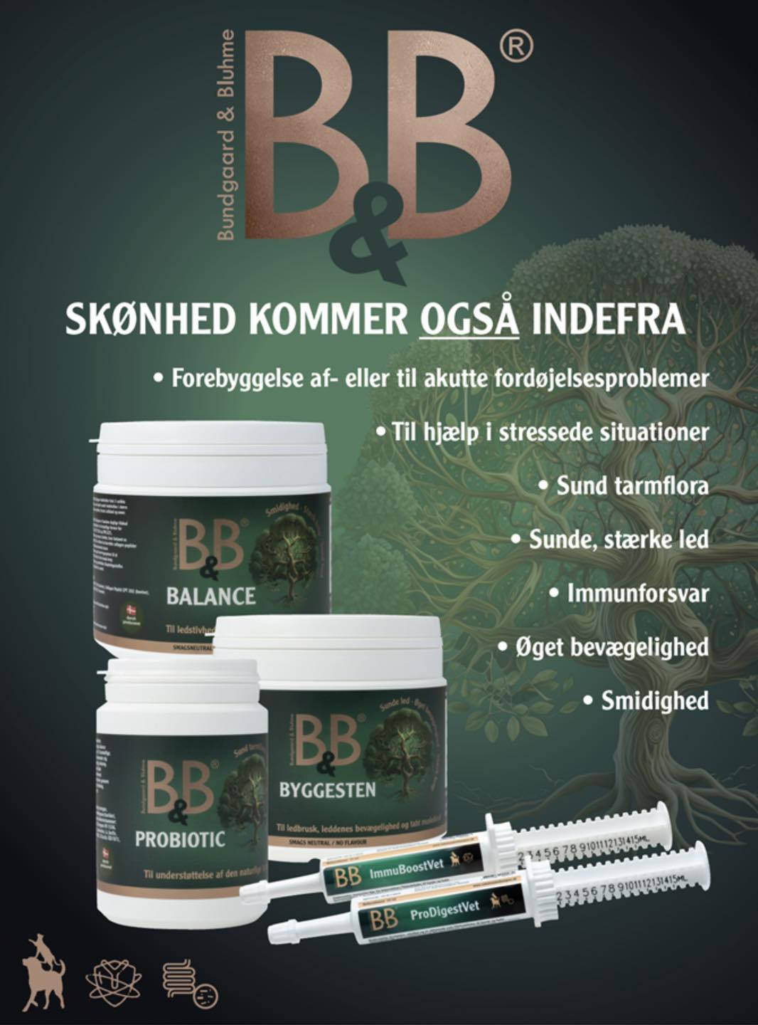 provider