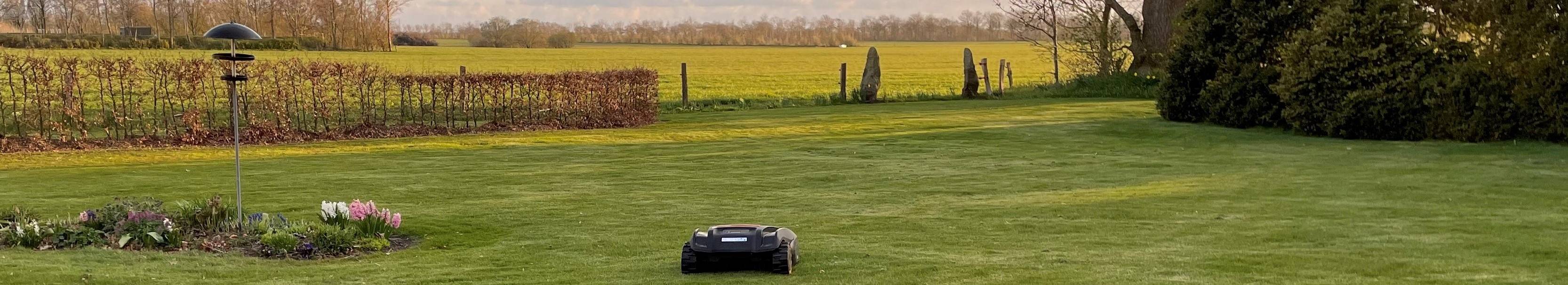 GRASSY and the horizon