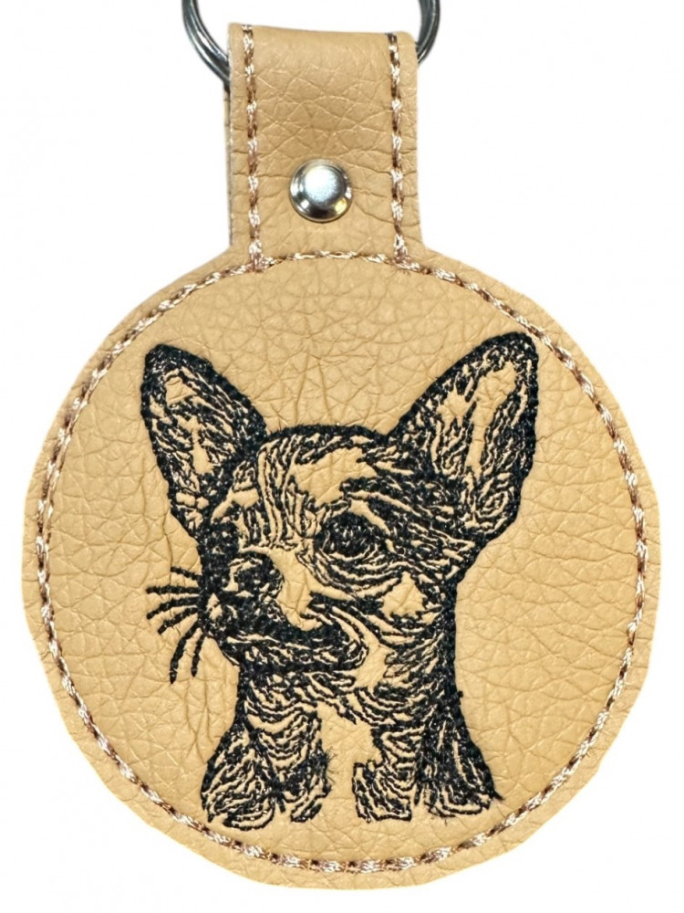 Chihuahua korthåret