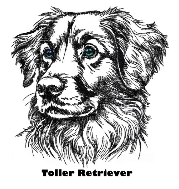 Etui til hundepas i kunstlæder