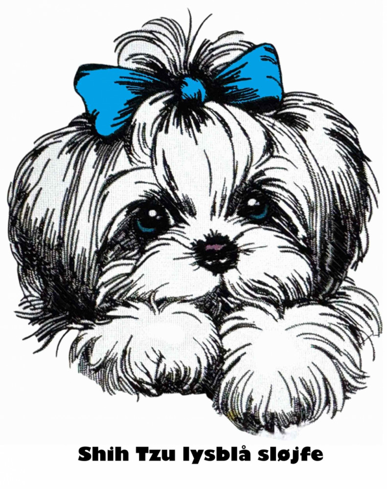 Etui til hundepas i kunstlæder