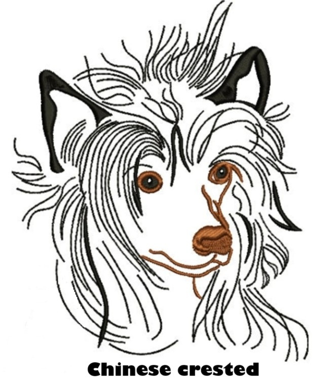 Etui til hundepas i kunstlæder