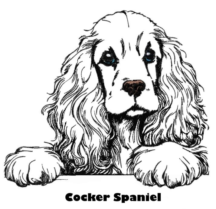 Etui til hundepas i kunstlæder