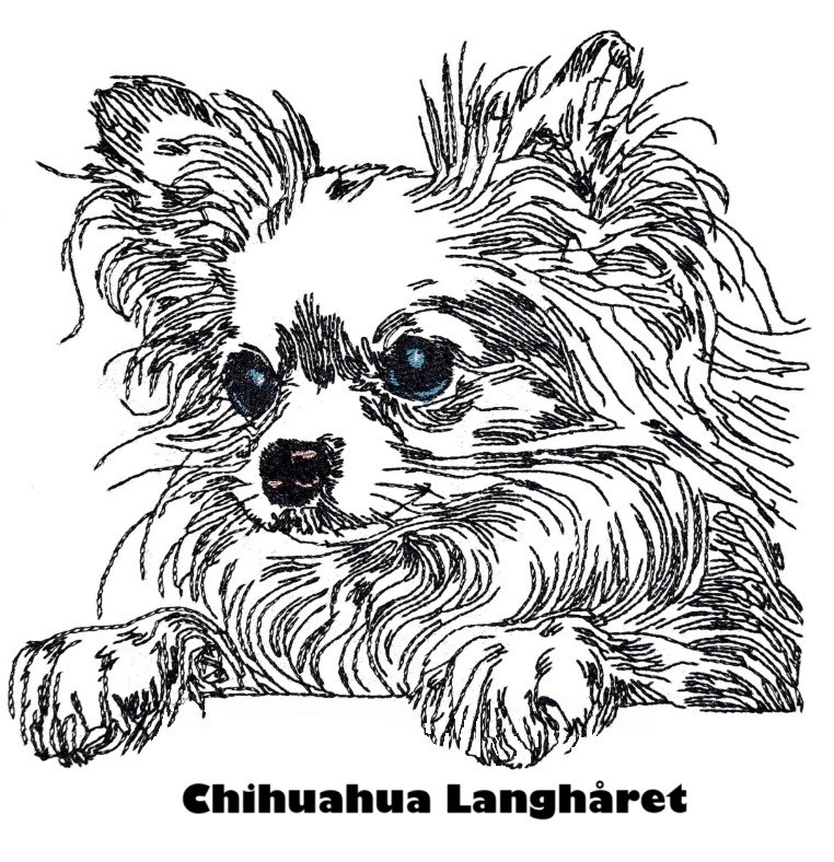 Etui til hundepas i kunstlæder