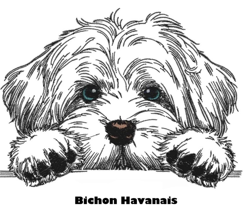 Etui til hundepas i kunstlæder