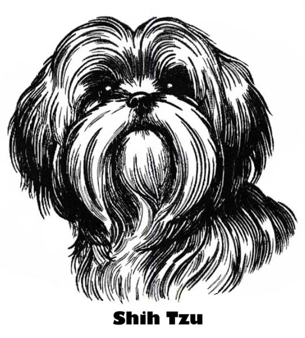 Etui til hundepas i kunstlæder