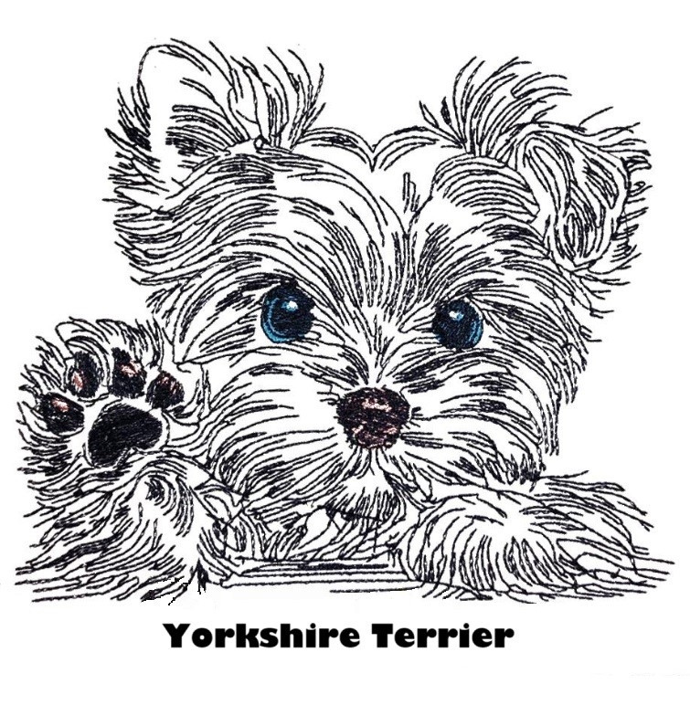 Etui til hundepas i kunstlæder med navn og dato