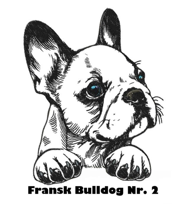 Etui til hundepas i kunstlæder med navn og dato