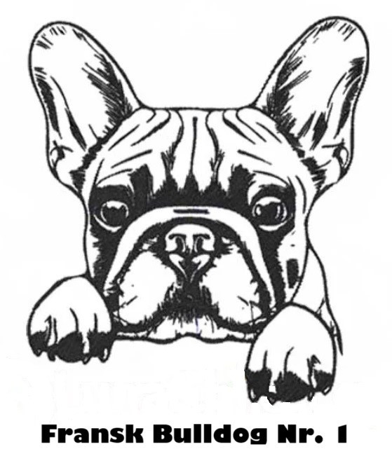 Etui til hundepas i kunstlæder med navn og dato