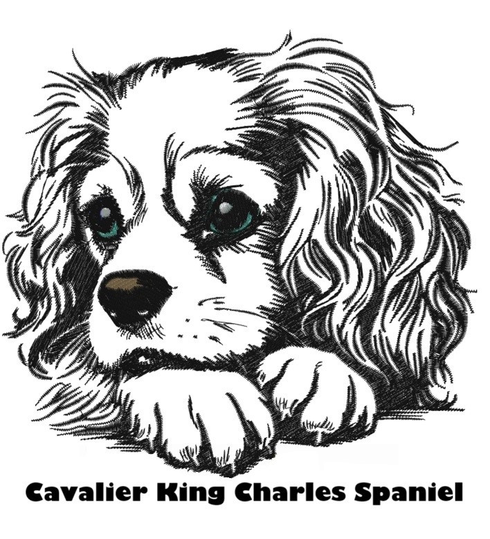 Etui til hundepas i kunstlæder med navn og dato