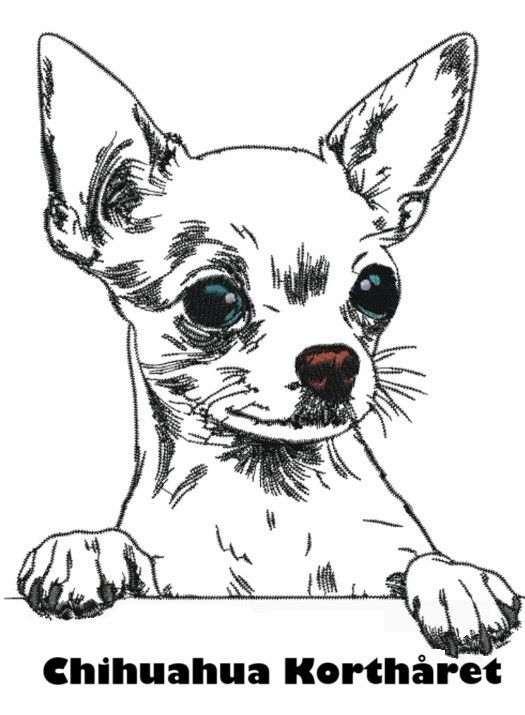 Etui til hundepas i kunstlæder med navn og dato