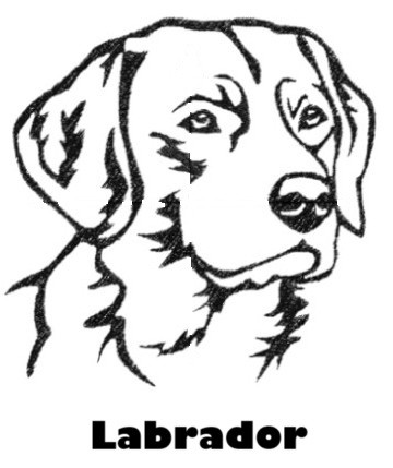 Etui til hundepas i kunstlæder med navn og dato