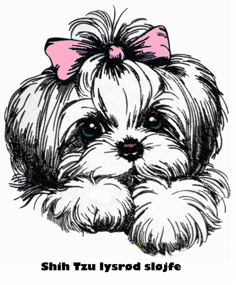 Etui til hundepas i kunstlæder med navn og dato