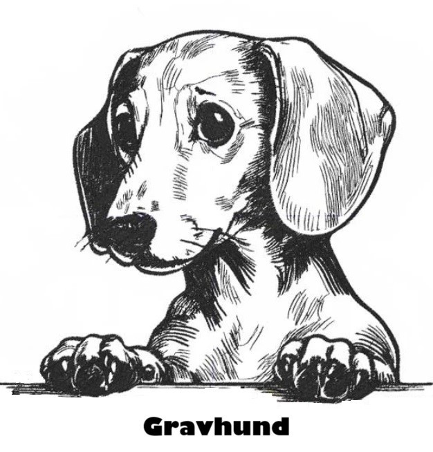 Etui til hundepas i kunstlæder med navn og dato