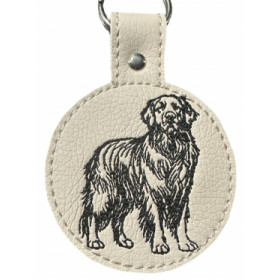 Golden Retriver
