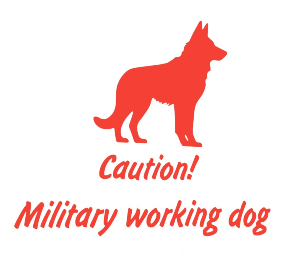 Militærhund på arbejde