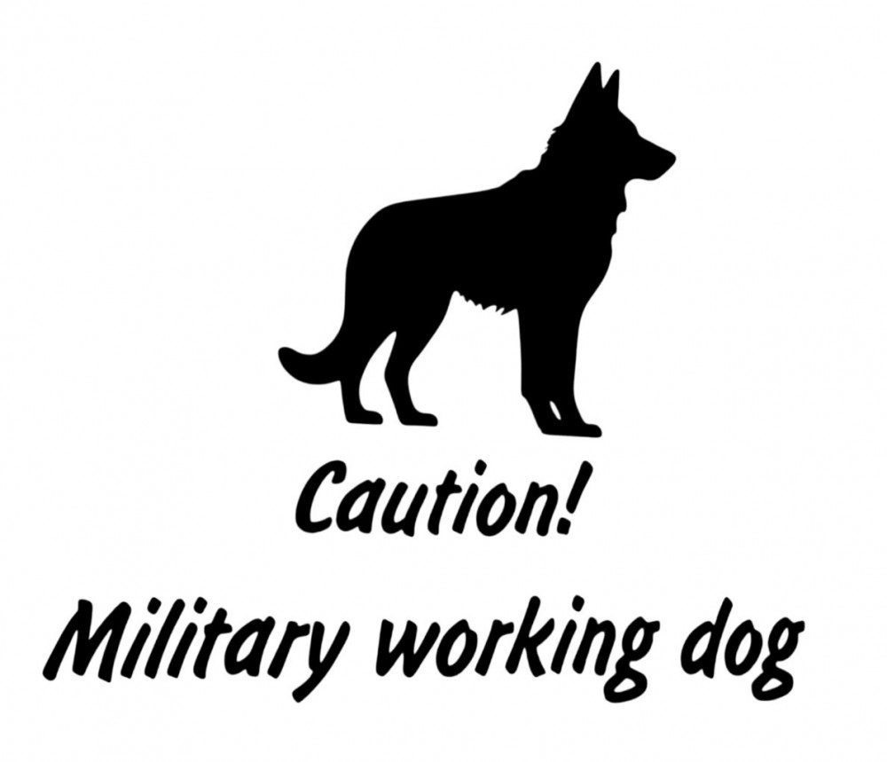 Militærhund på arbejde