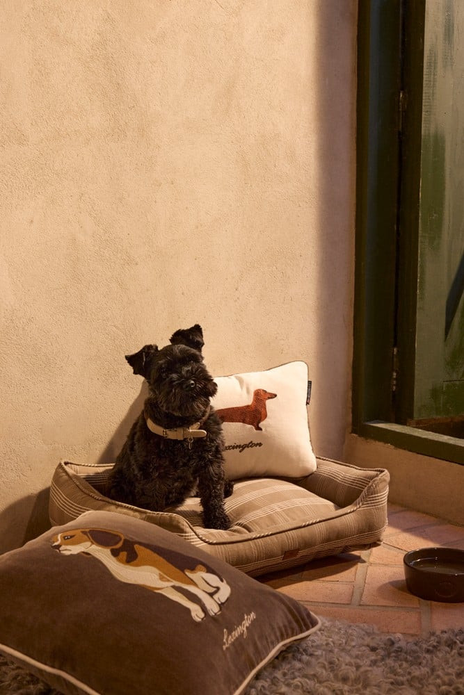 Lexington Dog pude i økologisk bomuldsvelour, 40x30 cm