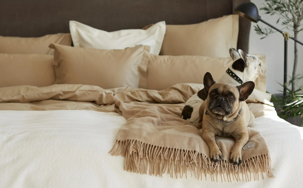 Lexington Hotel wool throw, beige/white