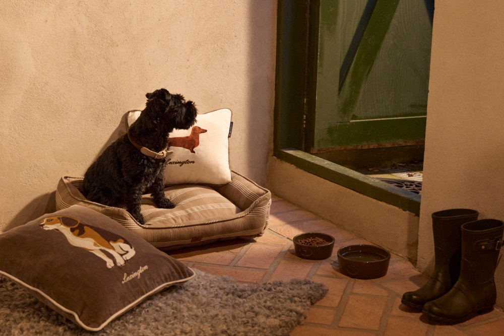 Lexington Hundepudebetræk i økologisk bomuld velour, 50x50cm