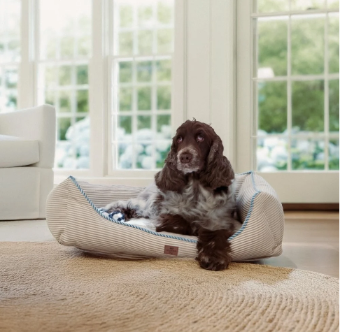 Lexington Hundeseng i Økologisk Bomuld – Beige/Blå Striber 60x45 cm