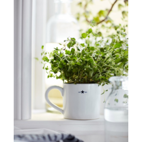 Lexington Stoneware kop, white (400 ml)