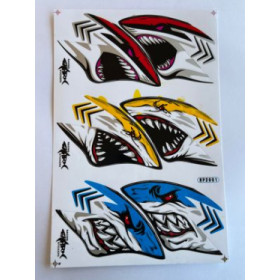 Racing Shark