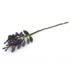 Filtet blåregn med lilla blomster