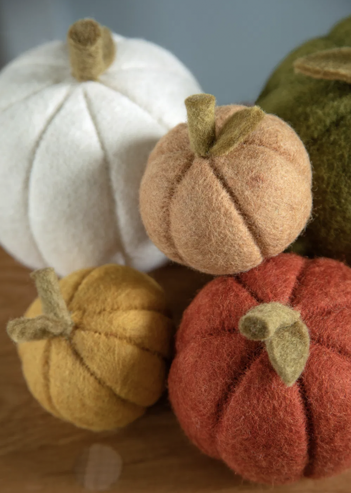 Filtet græskar, grøn, Ø16cm