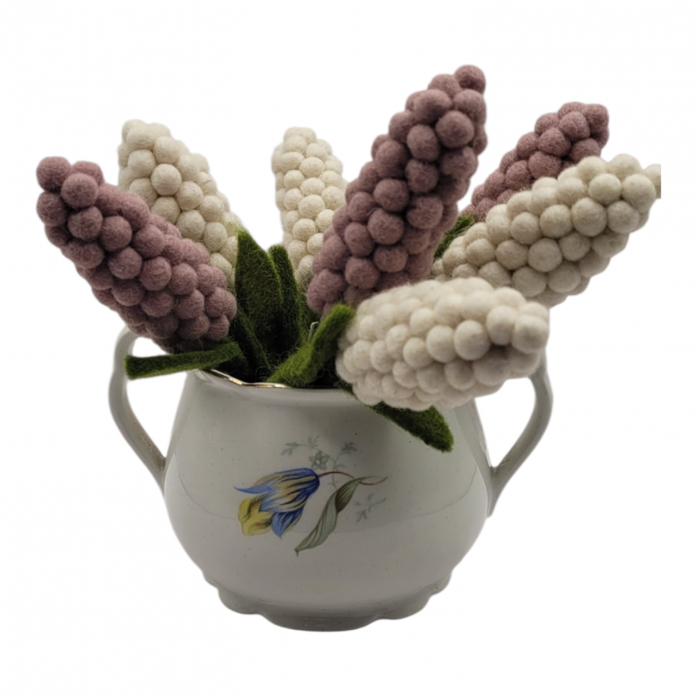 Filtet hyacint, lavendel.