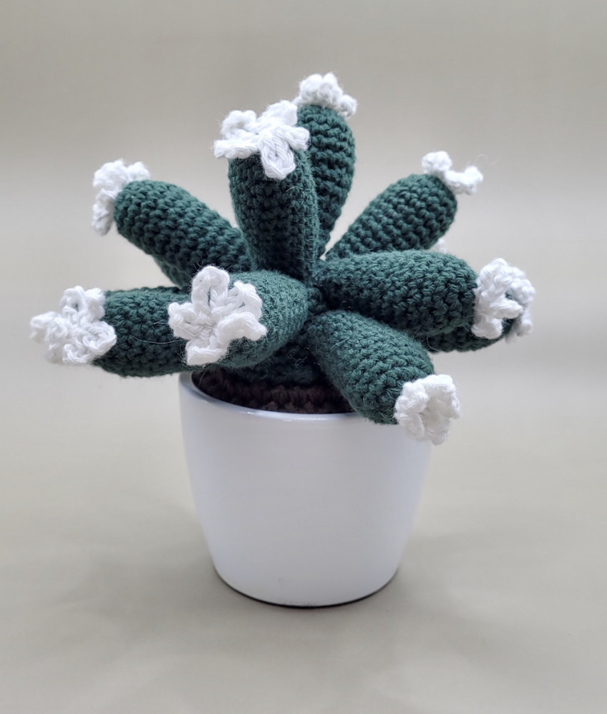 Hæklet kaktus med mange grene