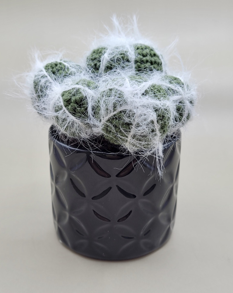 Hæklet mini kaktus med urtepotte