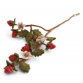 Hindbærgren 60cm