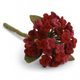 Hortensia rød, stor