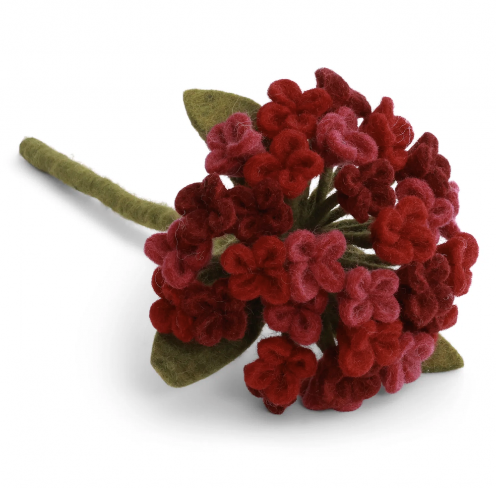 Hortensia rød, stor