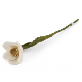 Påskelilje hvid, stor