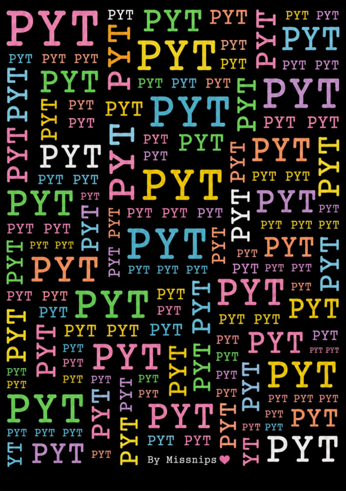 Plakat 30x40cm, PYT multicolor