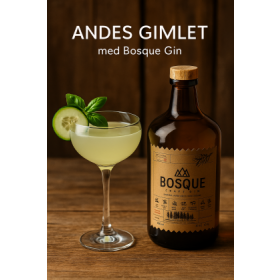 Andes Gimlet med Bosque Gin