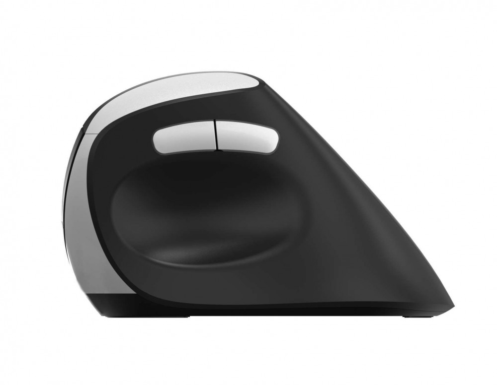 Rapoo EV250 Ergonomisk mus