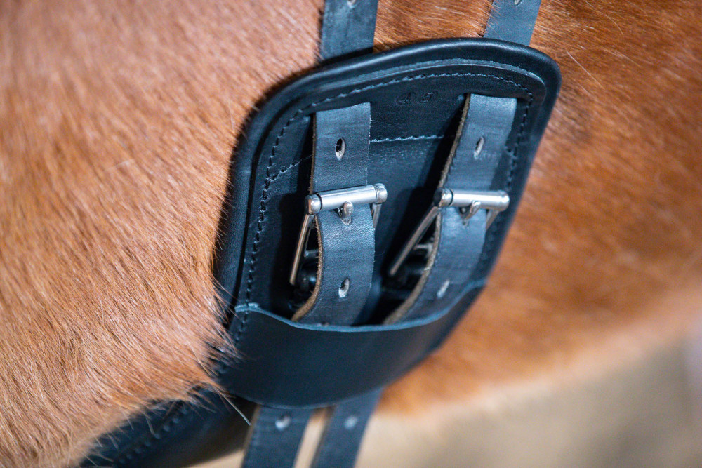 Flex Balance Gjord - Eques