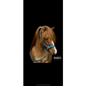 Grime & Træktov Sæt “Ocean Blue” - Nordic-Horse