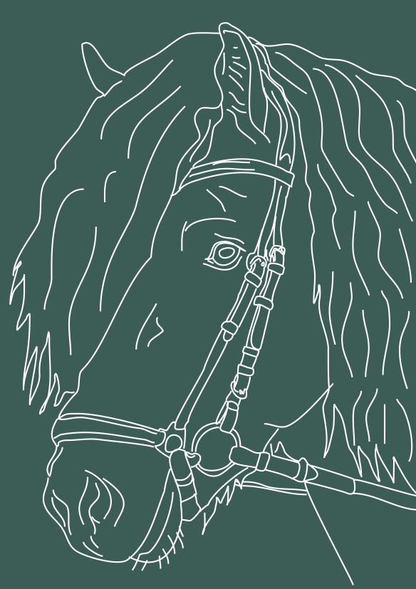 LINEART Kunst - Forevig din hest