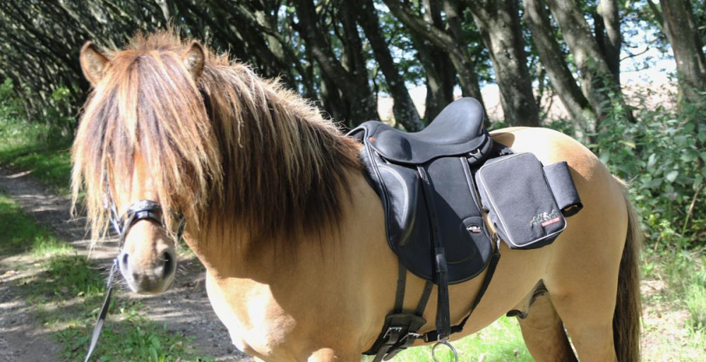 Sadeltaske - Karlslund