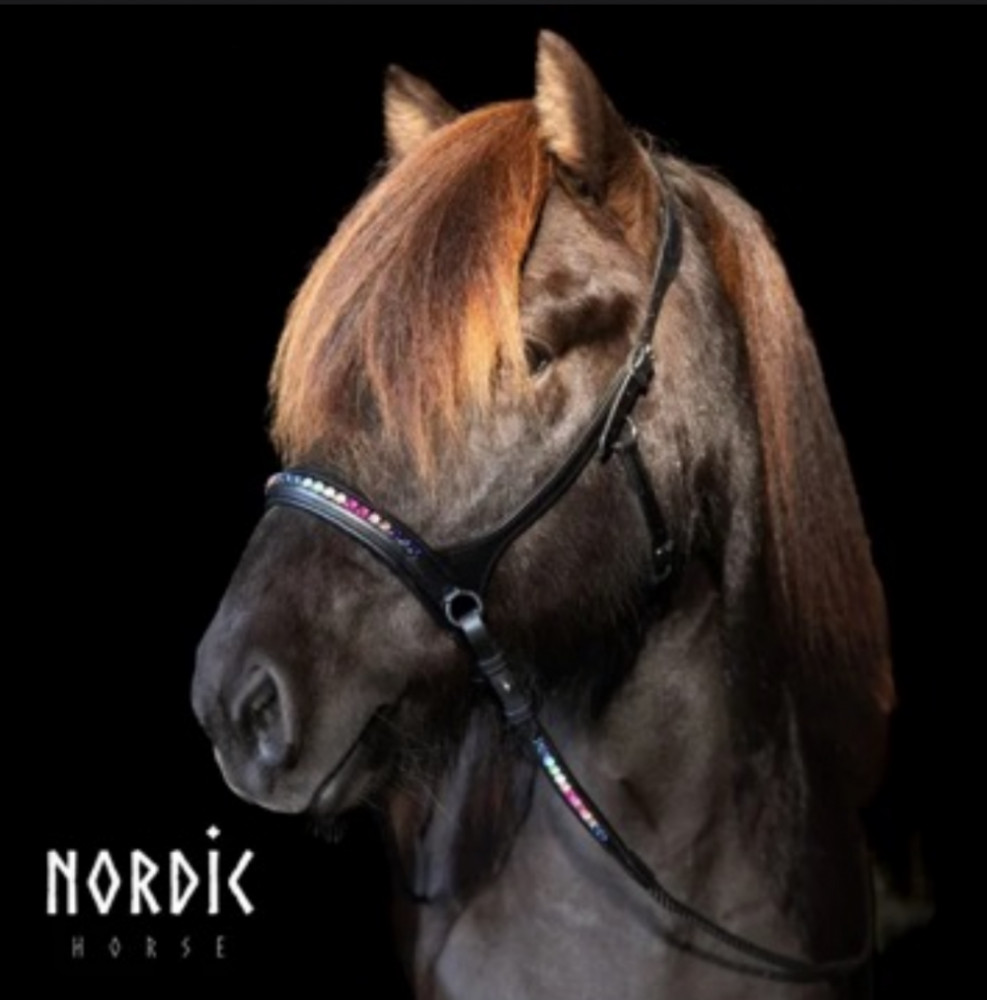 Sidepull Rainbow - Nordic-Horse