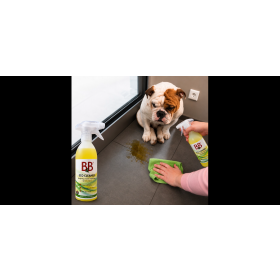 B&B. Eco Cleaner - Citrus 500 ml.