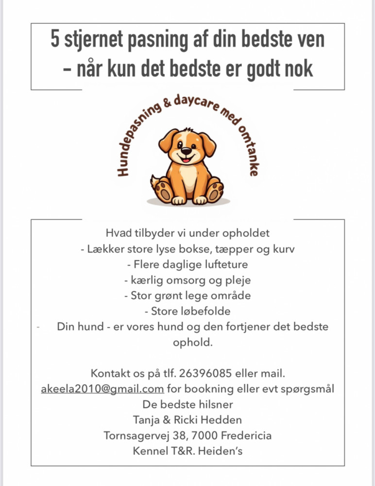 Hundepasning & daycare med omtanke 