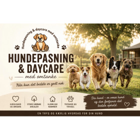 Hundepasning & daycare med omtanke 