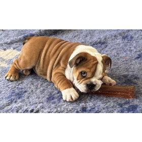 Mighty Marrows® Collagen Dental Chew – BACON