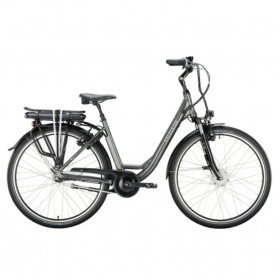 Excelsior Road Cruiser-E Gråmetal