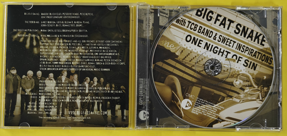 Big Fat Snake - One Night Of Sin